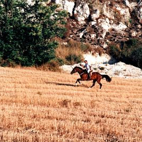 Equitazione a Villa Tasca