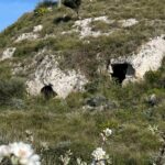 Trekking a Villa Tasca