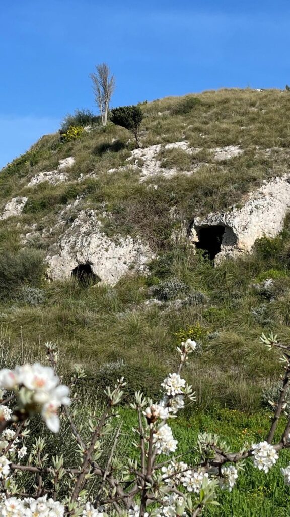 Trekking a Villa Tasca